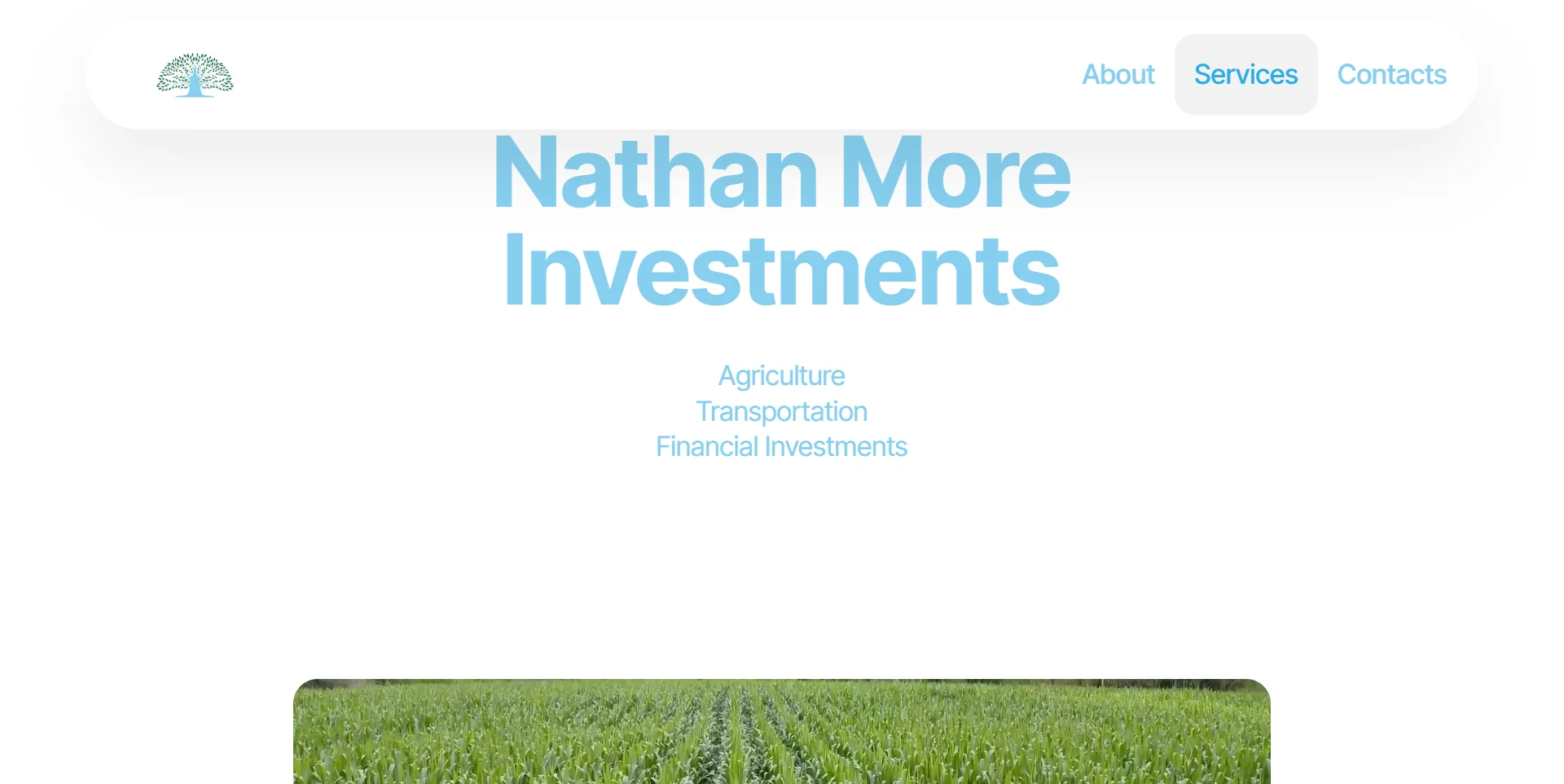 Nathan More Investments